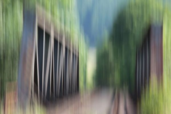 Eifel / Trier - Köln (bei Kyllburg, 2010)